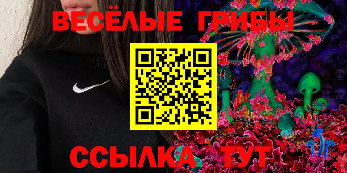 Псилоцибиновые грибы мицелий  Галлюциногенные грибы мухоморы  дарнет шоп  Балашиха  Вход с VPN 