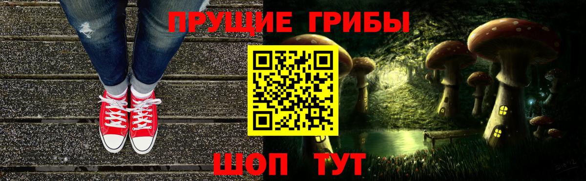Галлюциногенные грибы Psilocybe Балашиха